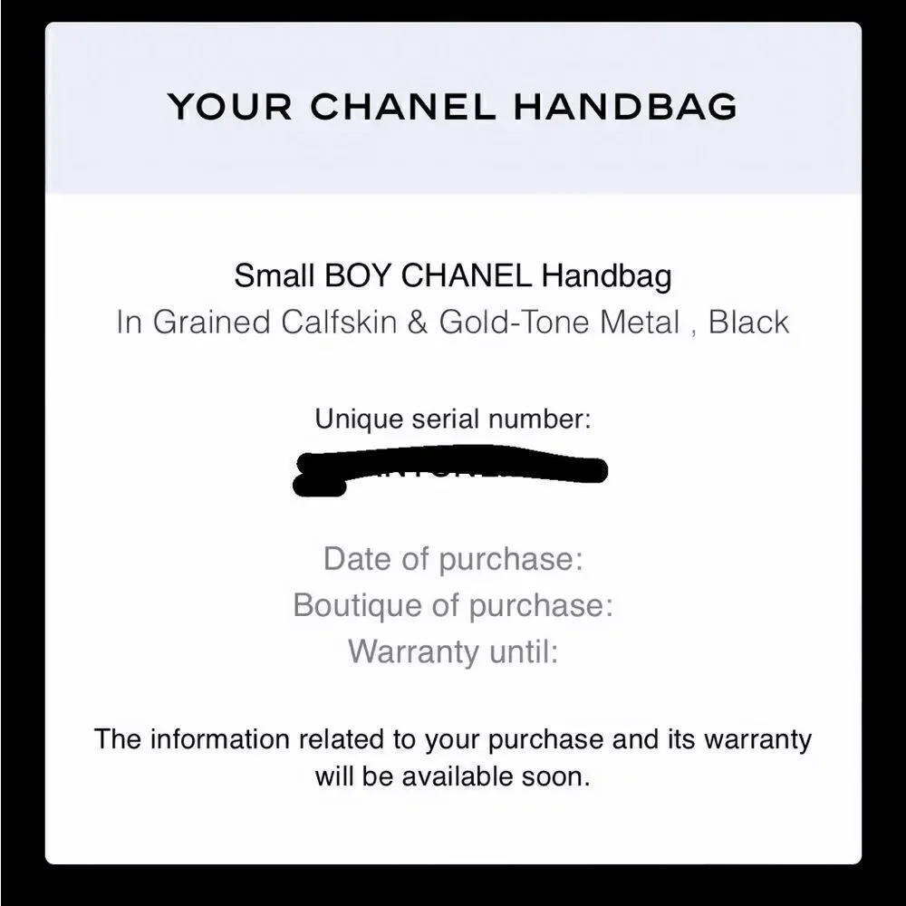 CHANEL small boy bag